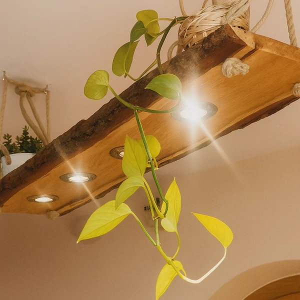 Rusztikus akácfa függesztett lámpa polccal 120cm