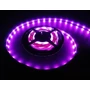 Kép 1/2 - LEDmaster Prémium 30 LED/méteres 12 V-os beltéri RGB 5050 LED szalag 5 m / tekercs