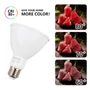 Kép 6/10 - E27 12W LED égő 6500K hideg fehér PAR30