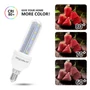 Kép 7/10 - E14 8W LED égő 6500K hideg fehér B5 T3 2U