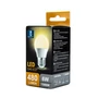 Kép 2/3 - E27 6W LED kisgömb égő 3000K meleg fehér G45