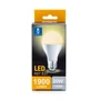Kép 2/5 - E27 20W LED körte égő meleg fehér 3000K A67 tejüveg opál