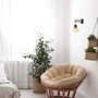 Kép 6/6 - Rattan