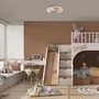 Kép 8/8 - Hedgy
