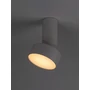 Kép 3/8 - Ovidia