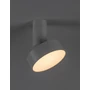 Kép 3/8 - Ovidia