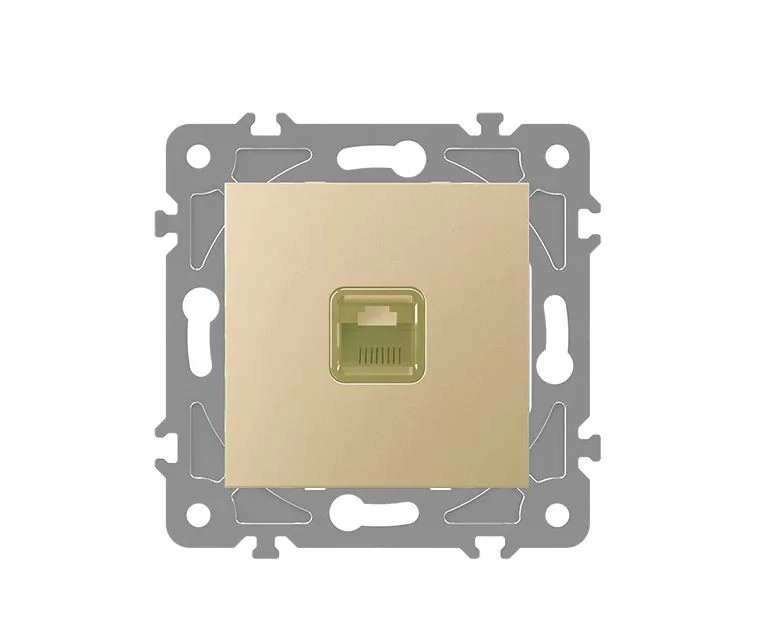 ELDLUX ELDGROUND 1×RJ45 Cat.6 UTP aljzat arany